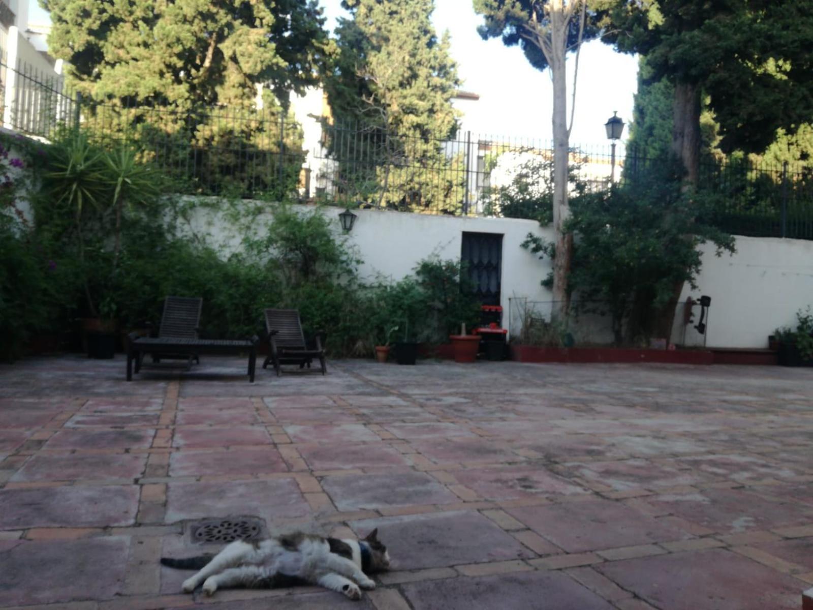Casa Del Agua Appartement Granada Buitenkant foto